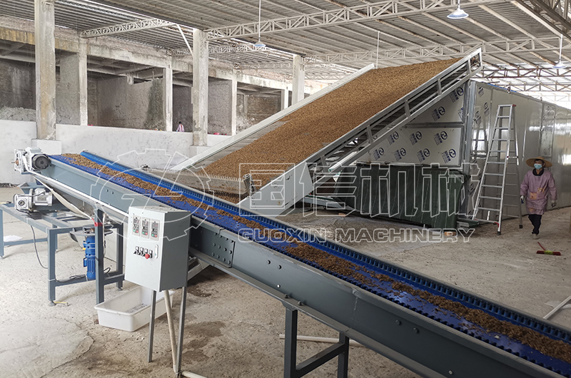 廣東陽江黑水虻烘干現場